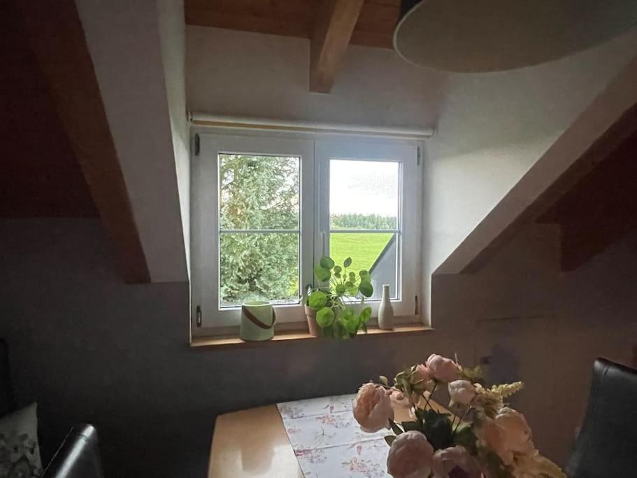 Panorama Saentisblick * Hergatz