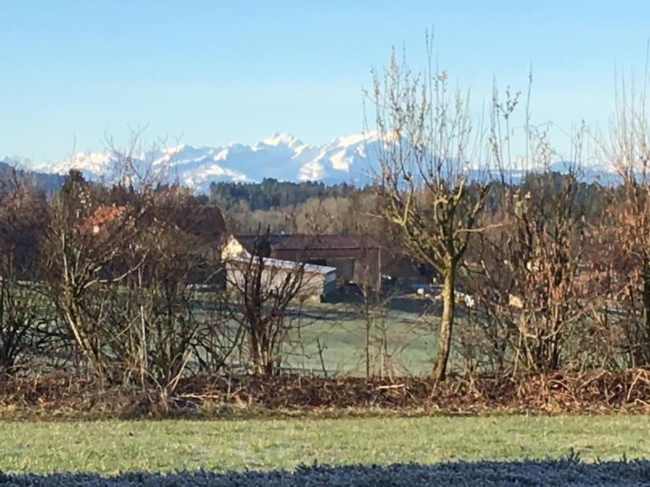 Panorama Saentisblick Apartment