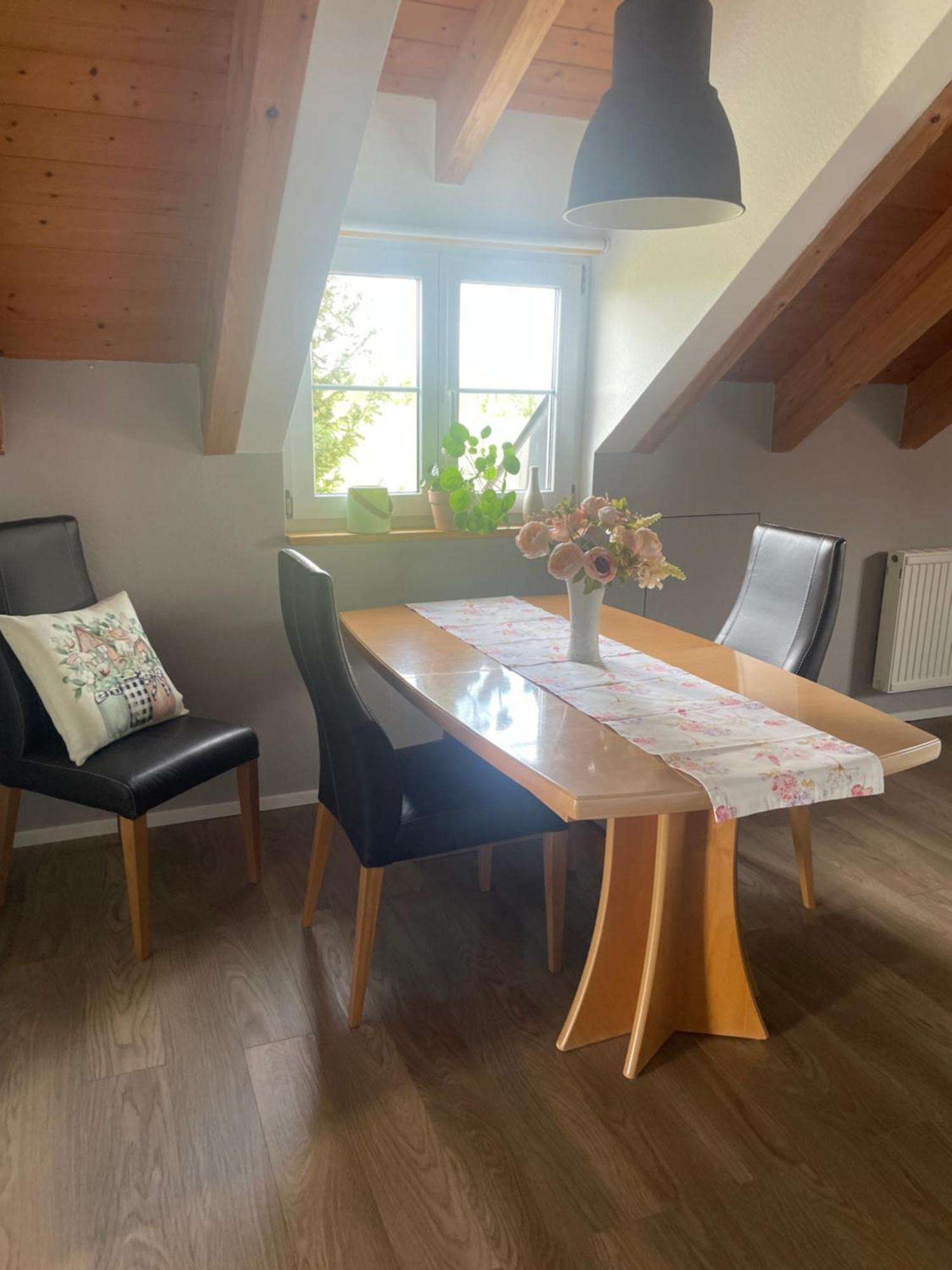 Panorama Saentisblick